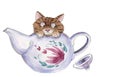 A cute little kitten hiding in a teapot