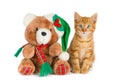 Kitten and teddy bear, Christmas setting
