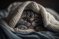 Kitten under a blanket. The cat is resting warm under the plaid. Royalty Free Stock Photo