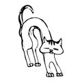 Kitten. Vector sketch of a robber yard cat, close-up, displeased, contemptuous expression of the muzzle, hand drawn, grim outline