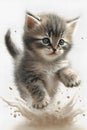 Kitten playing with the water drops