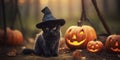 Kitten in a witch\'s hat in the autumn forest. Place for text. Generative AI