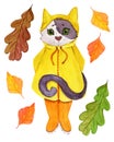 Kitten in a yellow raincoat