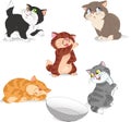 Kittens Royalty Free Stock Photo