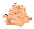 Kittens and box. Cute cats playing and sitting in boxes pile. Funny kitten play, home cat resting. Pets lifestyle