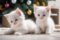 Kittens engage in play with tinsel and festive Christmas balls