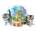 Kittens and a flower basket. Flowers Moning glory. Watercolor