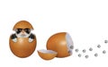 Kittens hatching from eggs 2 Royalty Free Stock Photo