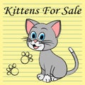 Kittens For Sale Shows Cats On Market And Advertisement Royalty Free Stock Photo