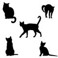 Kittens . Vector illustration. Black on white