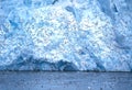 Kittiwakes at Monaco Glacier, Svalbard Royalty Free Stock Photo