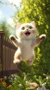 Kitty Cat Kitten Jumping Air Cinema Face Fence Promotional Sid E