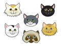 Kitty Faces Royalty Free Stock Photo