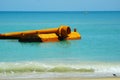 Kitty Hawk Beach Seascape with Floating Pipe Royalty Free Stock Photo