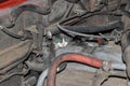 Kitty hiding from the dogs, inside the motor, Argentina