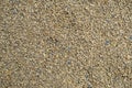 Kitty Litter Background Texture Royalty Free Stock Photo