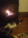 Kitty loves the fireplace, too close for comfort