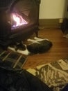 Kitty loves the fireplace, too close for comfort