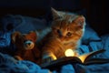 Kitty Reading A Book with Teddy Bear, Magic Childhood, Fairy Tale at Dream, Night Light Royalty Free Stock Photo