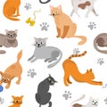 Kitty seamless pattern. Different cat breeds flat illustration. Color cute cats background, colorful kittens texture for Royalty Free Stock Photo
