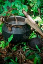 Kitul toddy pot.Sri lankan Naturel drink