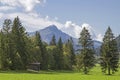 Kitzbuehl Horn with meadow idyll Royalty Free Stock Photo