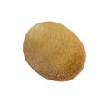 Kivi fruit on white Royalty Free Stock Photo