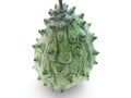 Kiwano Royalty Free Stock Photo