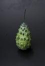 Kiwano Royalty Free Stock Photo