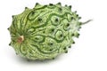 Kiwano Royalty Free Stock Photo