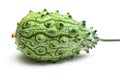 Kiwano Royalty Free Stock Photo