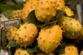 Kiwano Royalty Free Stock Photo