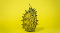 Kiwano, African cucumber, vegetable on yellow background