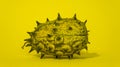 Kiwano, African cucumber, vegetable on yellow background