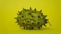 Kiwano, African cucumber, vegetable on yellow background