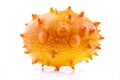 Kiwano fruit front on