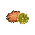 Kiwano Fruits. Half a Kiwano Fruits. Fruit crop. Tropical fruit.