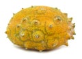 Kiwano horned melon fruit