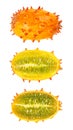 Kiwano, horned melon, whole and half fruit isolated over white