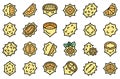 Kiwano icons set vector flat