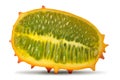 Kiwano melon Royalty Free Stock Photo