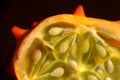 Kiwano melon Cucumis metuliferus, close up