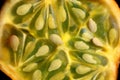 Kiwano melon Cucumis metuliferus, close up