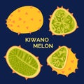 Kiwano melon fruit logo isolated on the dark background. Set of exotic Horned melon icons. Vector cartoon illustration with whole