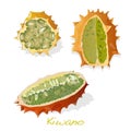 Kiwano melon on white background