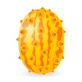 Kiwano vector isolated