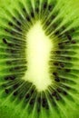 Kiwi Royalty Free Stock Photo