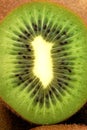 Kiwi Royalty Free Stock Photo