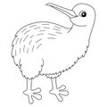 Kiwi Animal Coloring Page Isolated for Kids