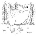 Kiwi Animal Coloring Page for Kids